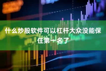 什么炒股软件可以杠杆大众没能保住第一名了