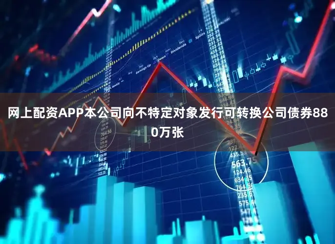 网上配资APP本公司向不特定对象发行可转换公司债券880万张