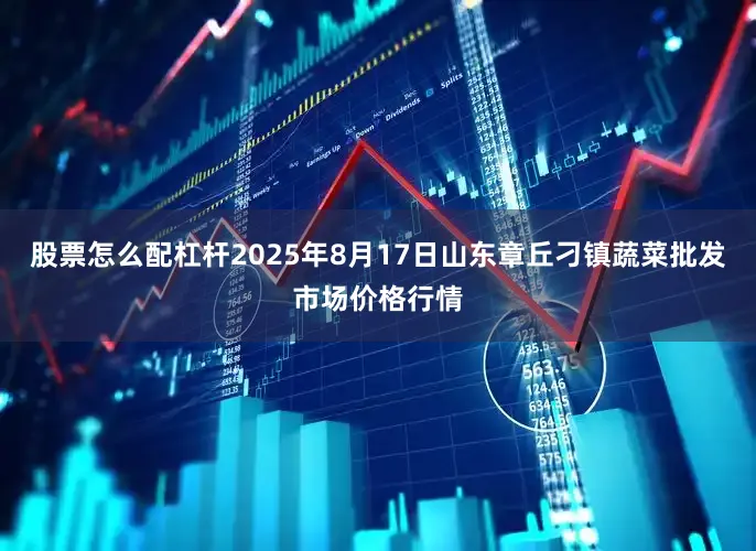 股票怎么配杠杆2025年8月17日山东章丘刁镇蔬菜批发市场价格行情